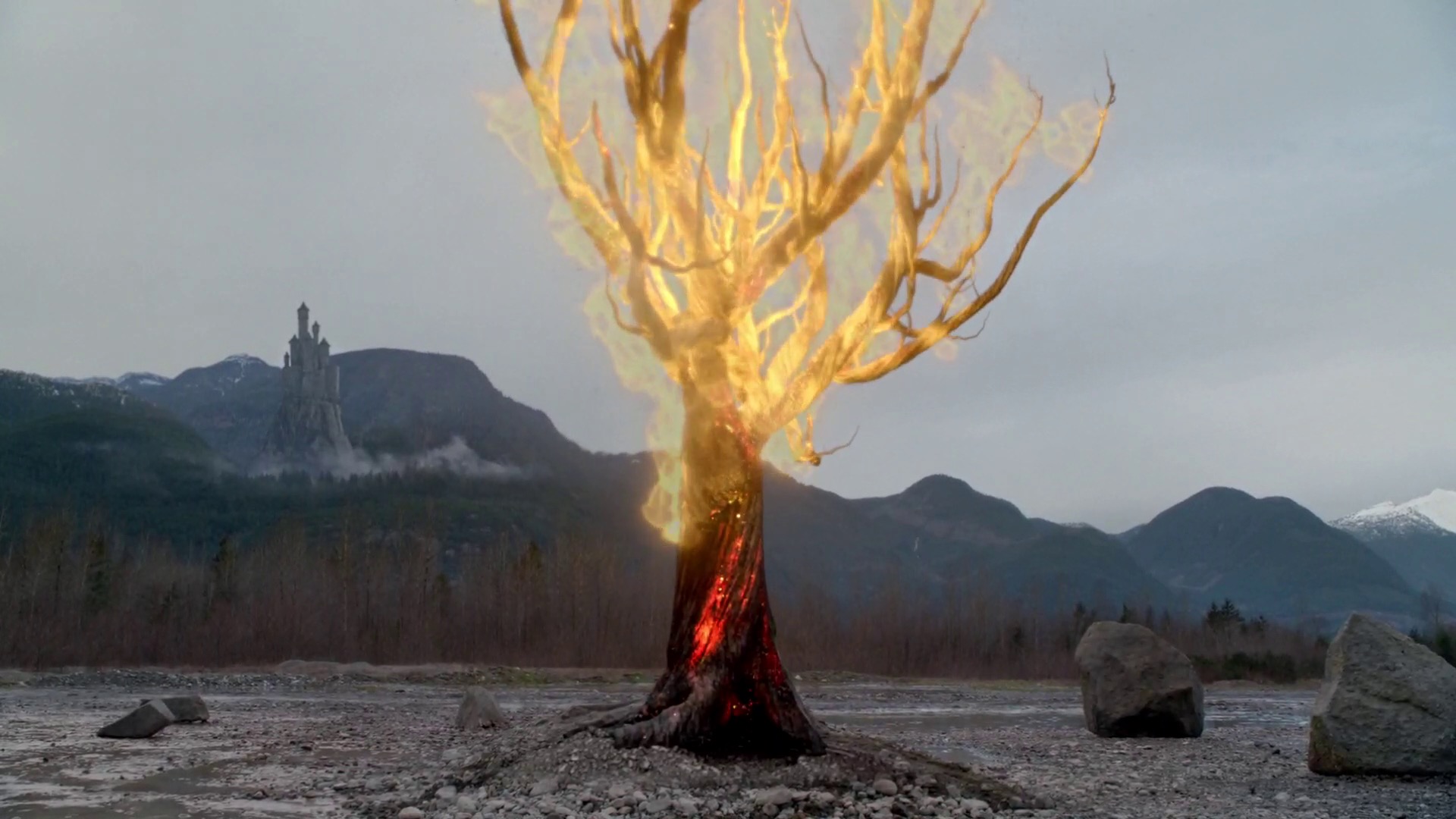 Сжигание дерева. Горящее дерево. Сгоревшее дерево. Дерево в огне. Горящее дерево с молнией.